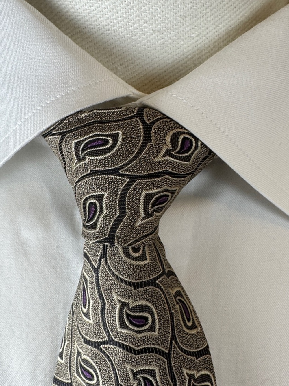 Park Lane for Nordstrom Men’s Necktie - Plum & Tan Paisley Jacquard Silk Tie